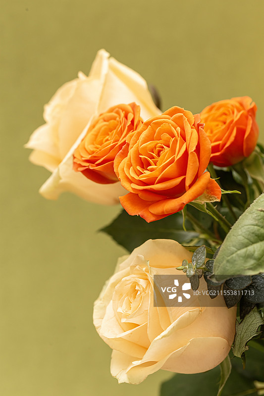 三八妇女节的花簇图片素材