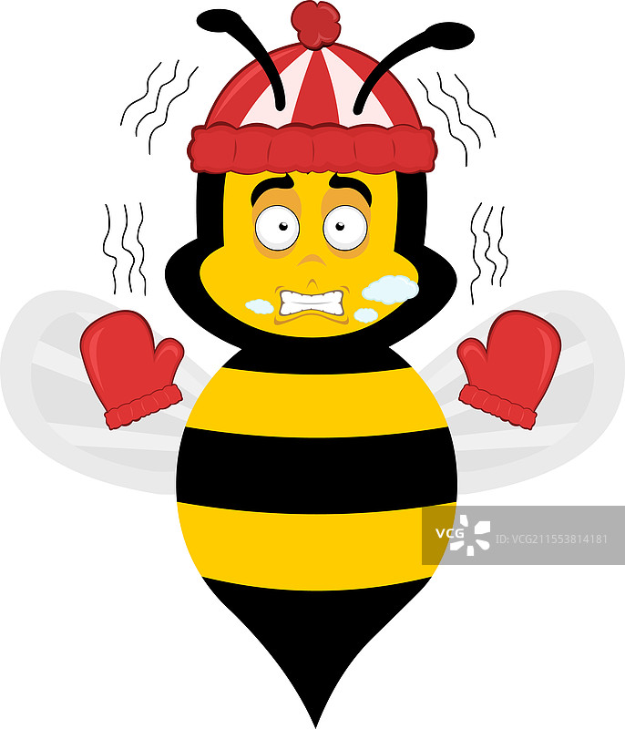 蜜蜂、寒冷、帽子、手套图片素材