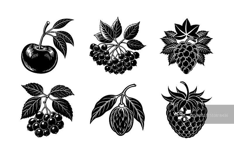 独特的马基莓、阿罗尼亚莓和巴西莓组合图片素材