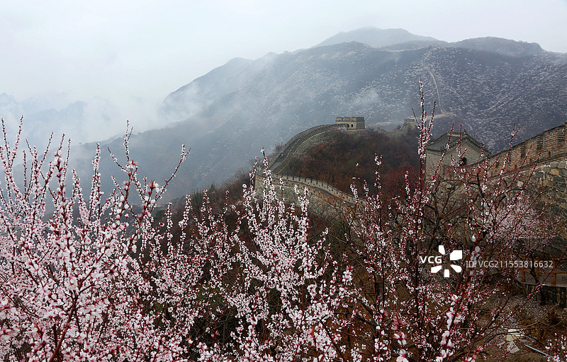 北京  慕田峪长城春花图片素材