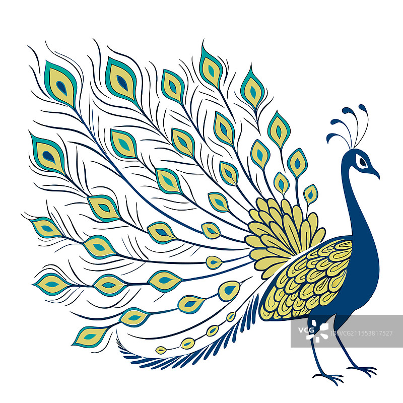色彩斑斓的孔雀卡通宠物动物设计图片素材