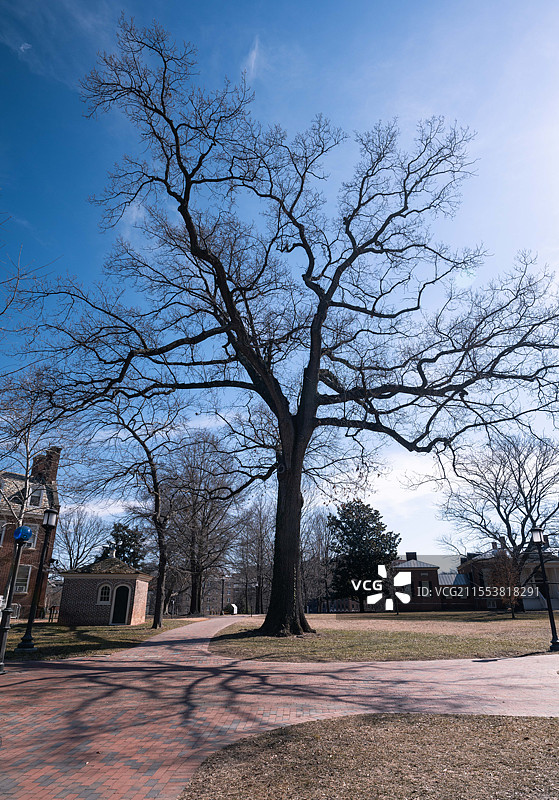 巴尔的摩约翰霍普金斯大学-世界第一医学院图片素材