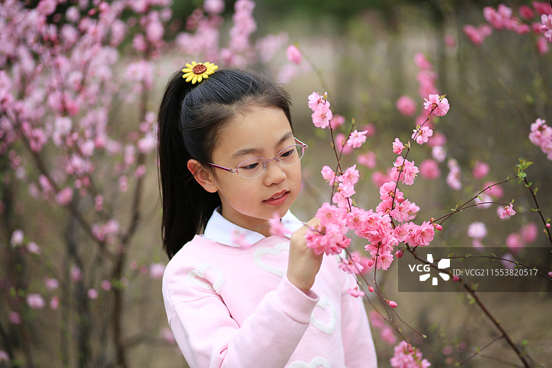 春天里闻花香的小女孩图片素材