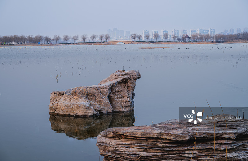 初春季节的东丽湖图片素材