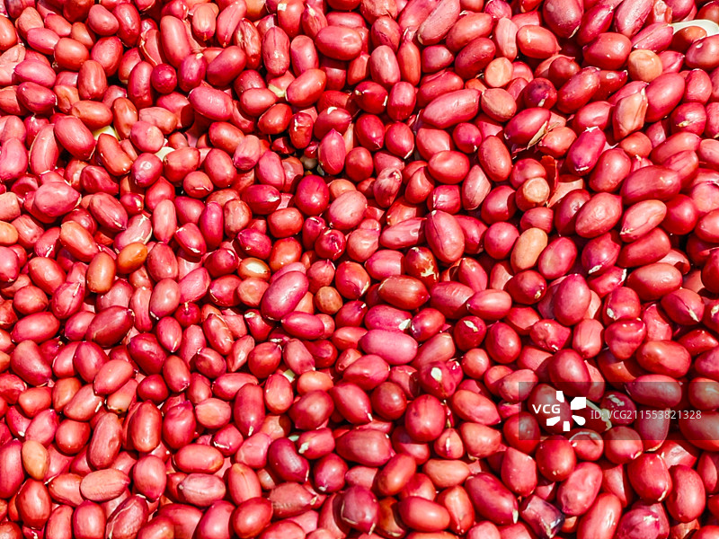 花生仁图片素材