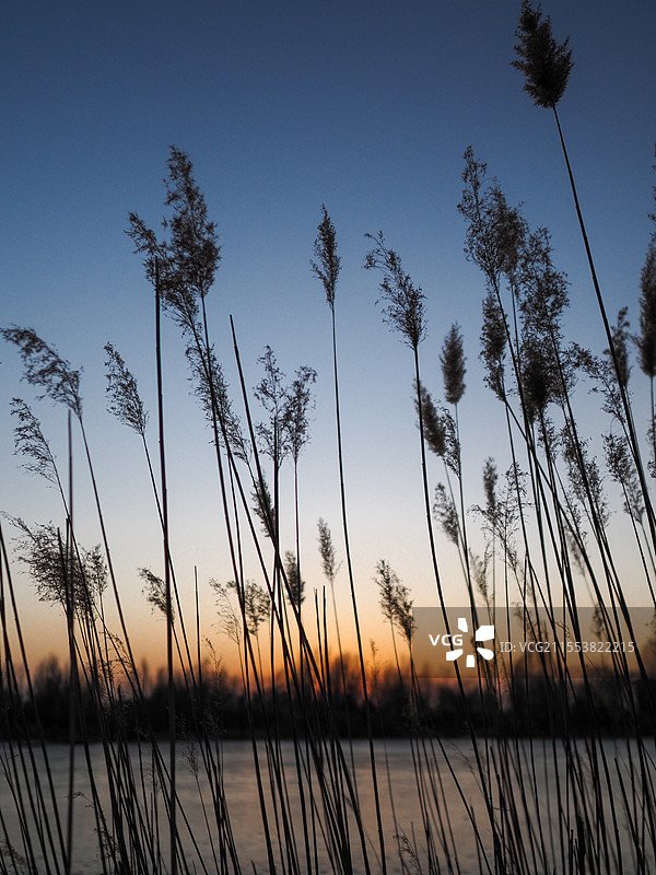 2025新年野鸭湖图片素材