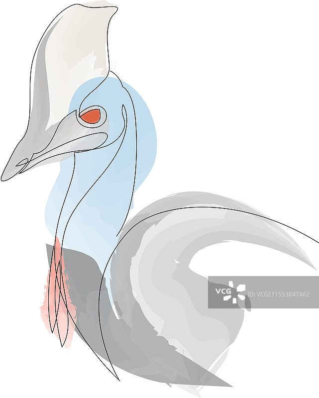 优雅的鸸鹋巨鸟线条画图片素材