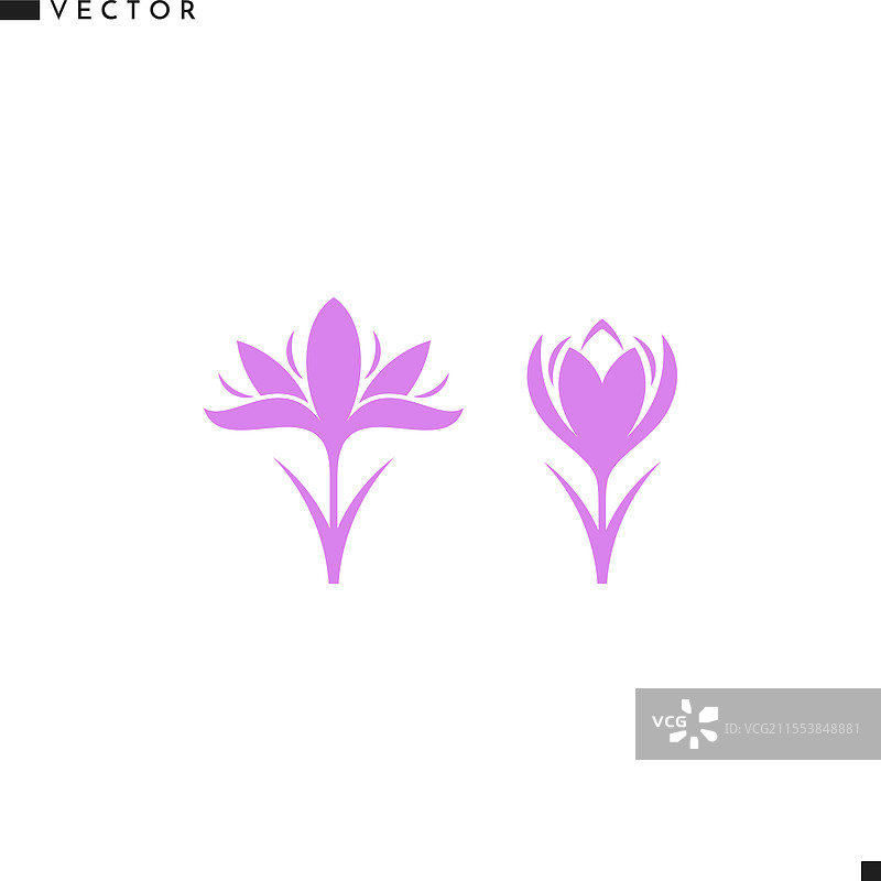 番红花剪影图片素材