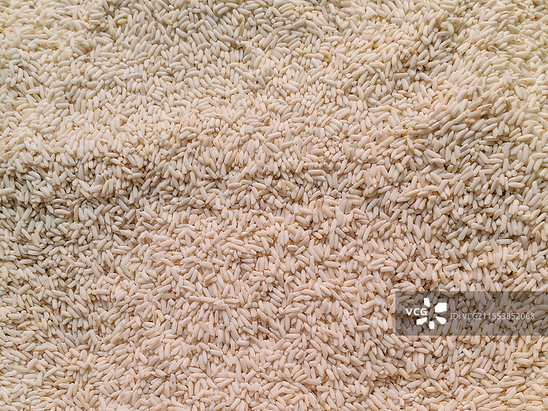 长粒糯米图片素材