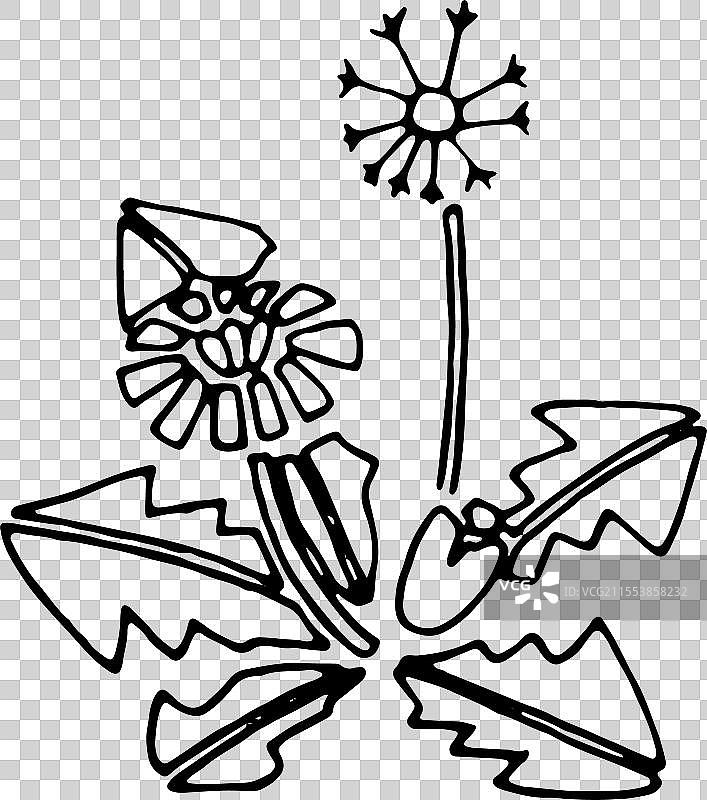 黑白 简笔画 装饰 动物 元素 蒲公英图片素材