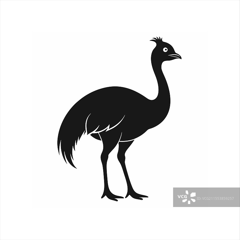 优雅的鸸鹋剪影图片素材