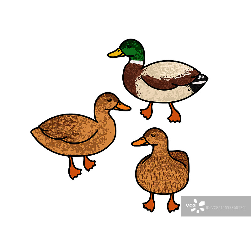 五彩斑斓的鸭群图片素材