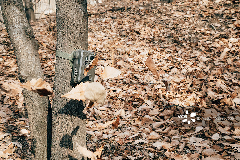 户外森林中的野生动物摄影机图片素材