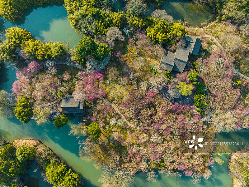 杭州西溪湿地曲水寻梅图片素材