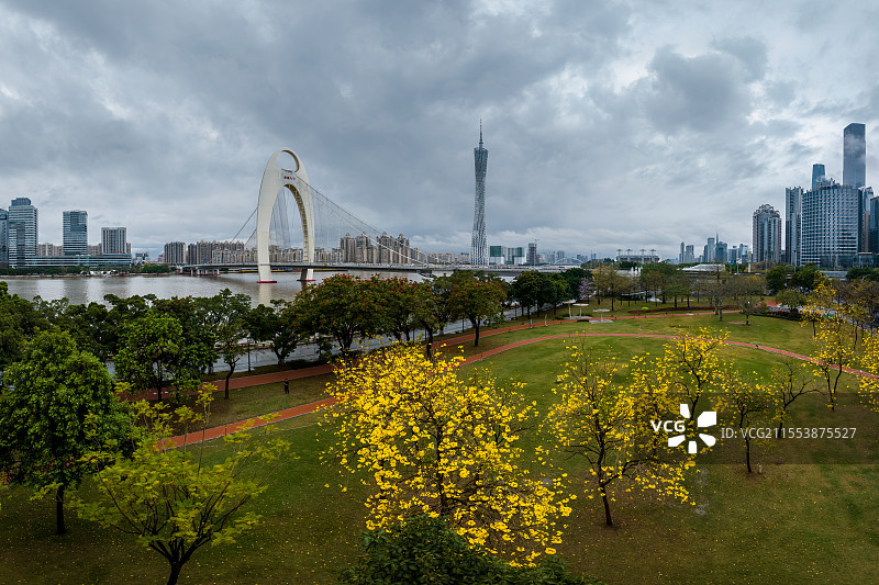 一场春雨后的广州临江带状公园图片素材