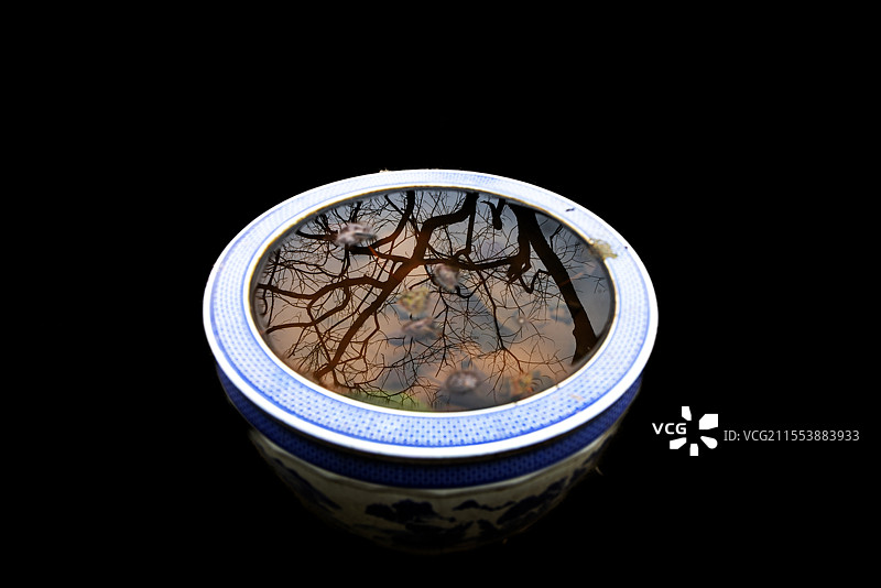 开江县金山寺盆景禅树 是树悟通了禅，还是禅寄于树？图片素材