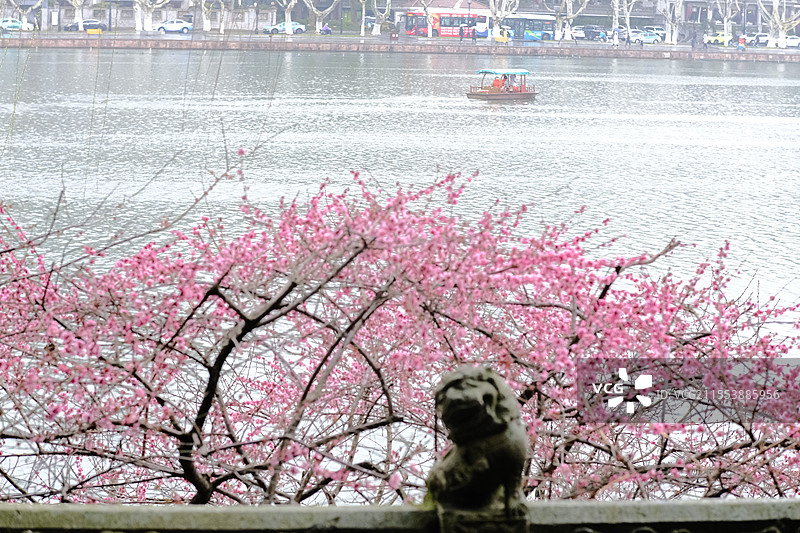 西湖孤山 旅游图片素材