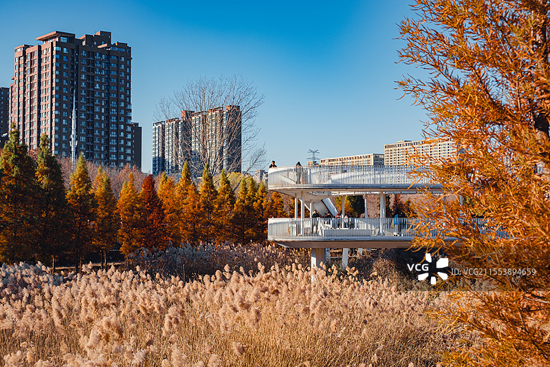 东风生态公园秋意图片素材