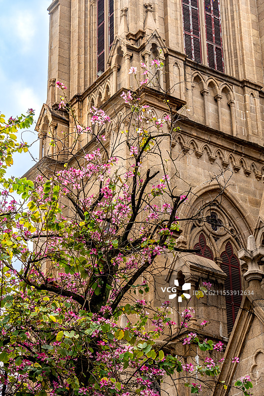 圣心大教堂图片素材