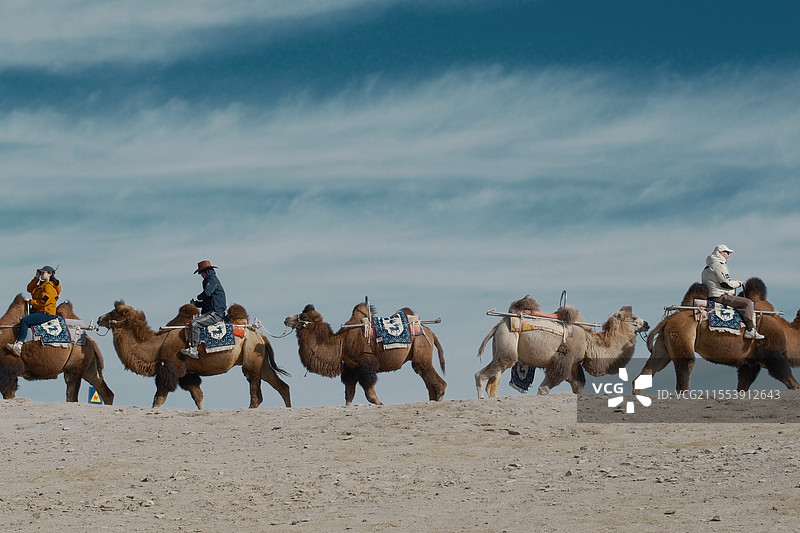 沙漠骆驼图片素材