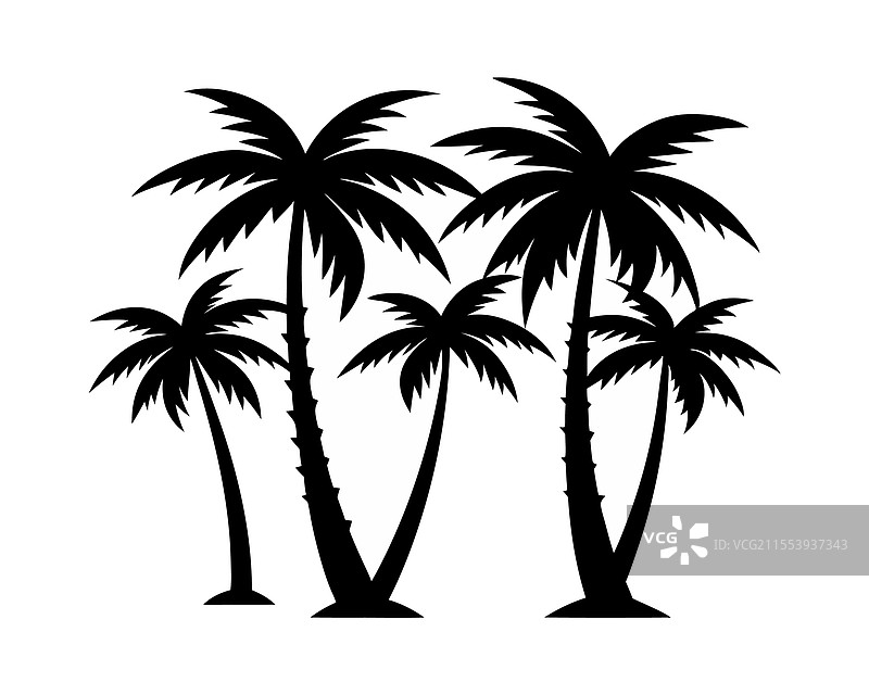 棕榈树 - 热带天堂图片素材