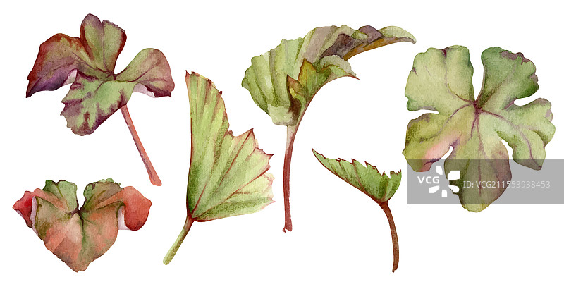 花丛树木的绿色叶子与手图片素材