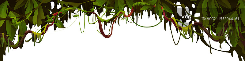 孤立在白色背景上的藤本植物拱门图片素材