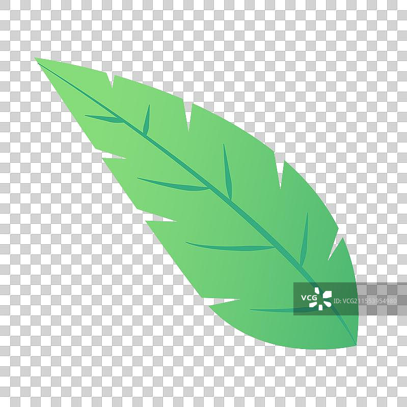 春天绿色树叶环保植物叶子图片素材