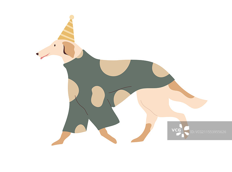 戴着节日派对帽的可爱犬类动物图片素材