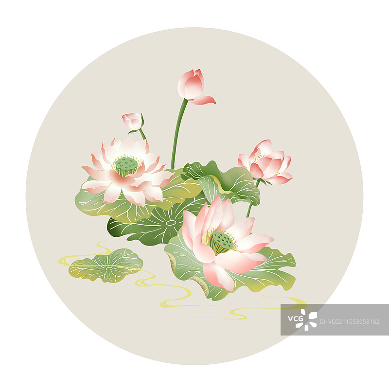 二十四节气插画立夏植物夏季池塘荷花图片素材