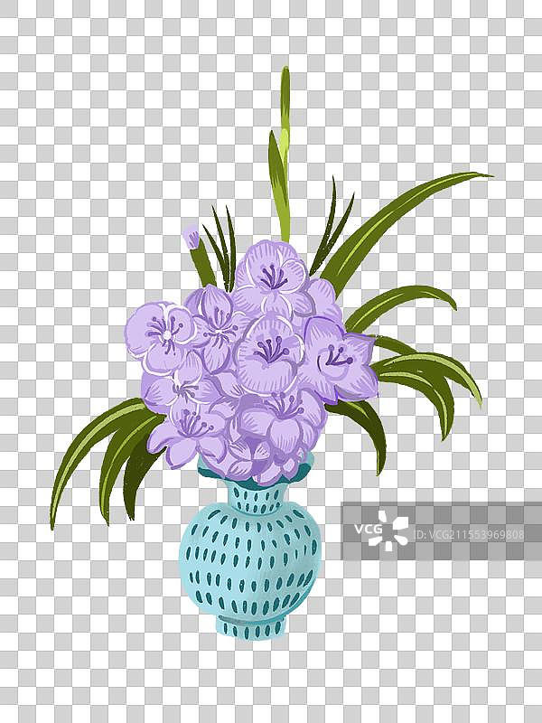 植物剑兰图片素材