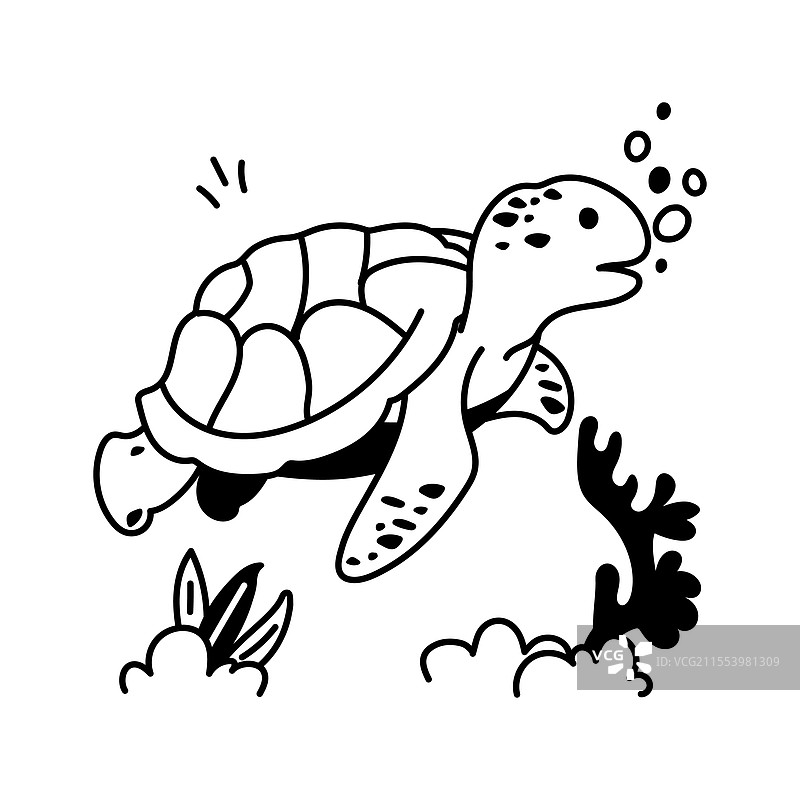 海龟图片素材
