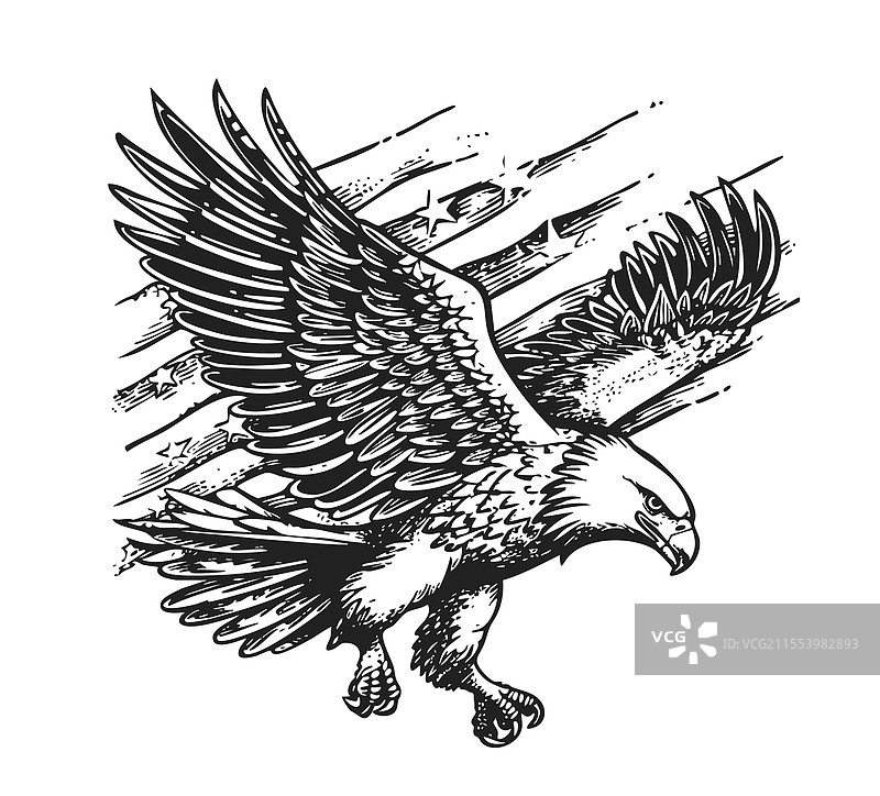 手绘鹰头图片素材