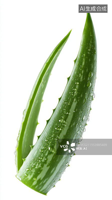 【AI数字艺术】纯白色背景上的芦荟图片素材