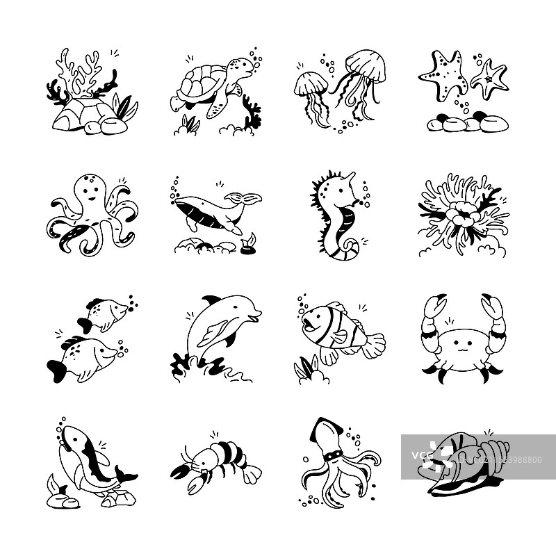 可爱的黑白水下生物图片素材