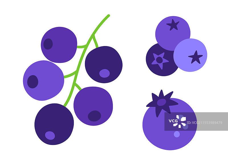 手绘平面风格的蓝莓彩色组合图片素材