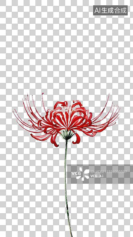 【AI数字艺术】国风手绘插画，红色石蒜，彼岸花，曼珠沙华，植物花卉免抠元素图片素材