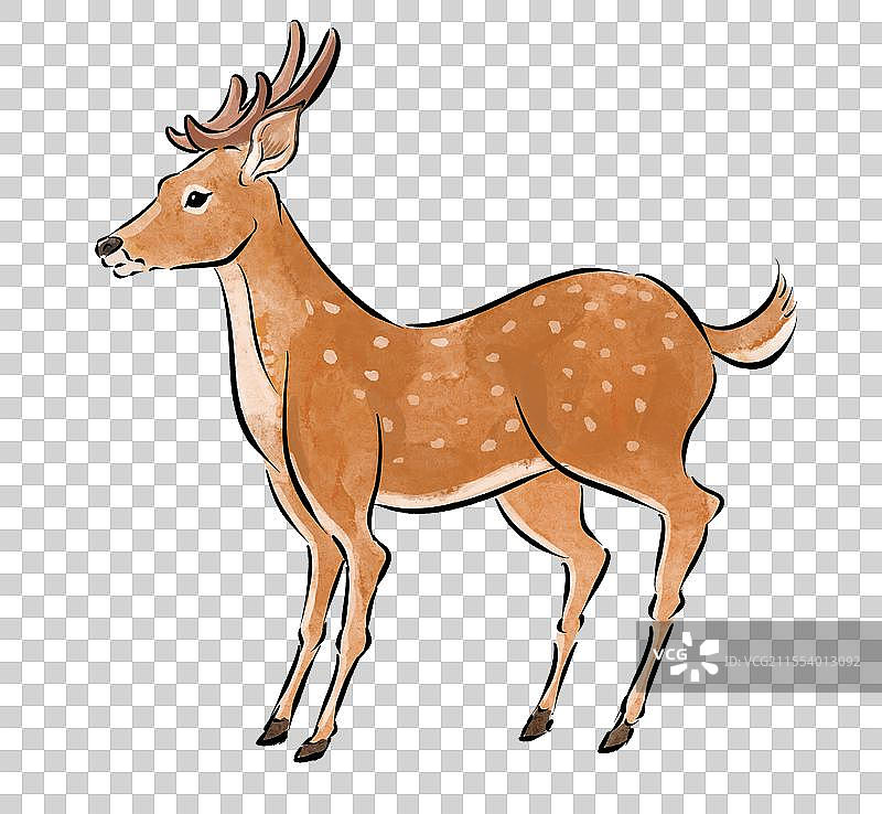 一只梅花鹿动物主题国风手绘插画元素图片素材