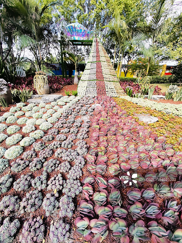 攀枝花市米易县易园图片素材