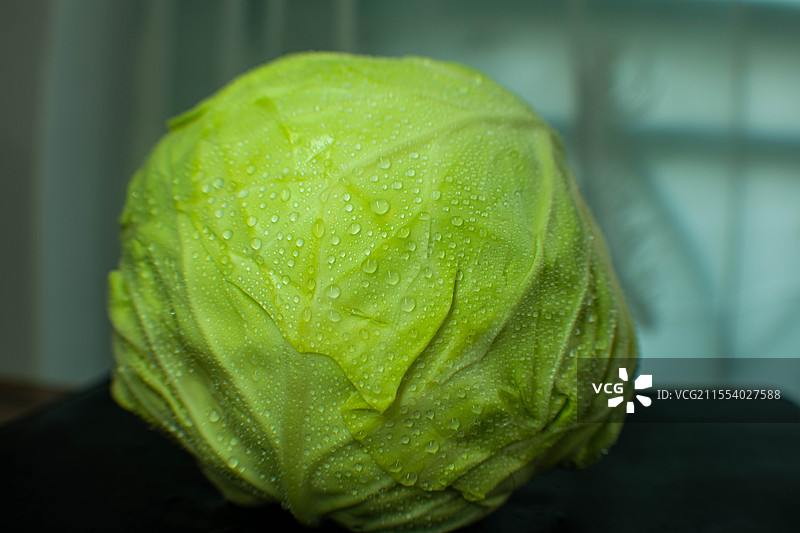 白菜、 包菜、 甘蓝、 结球甘蓝 、卷心菜 圆白菜、 莲花白 、莲花菜、 包心菜 、洋白菜 蔬菜图片素材