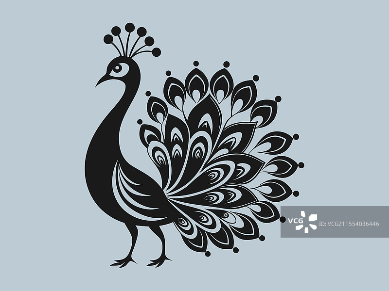 惊艳的孔雀剪影设计图片素材