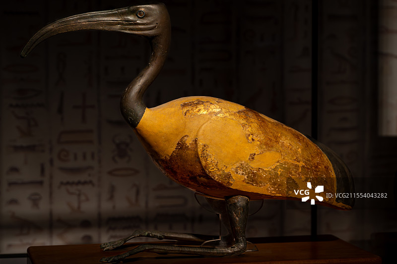 上海博物馆埃及展-包金朱鹭像图片素材