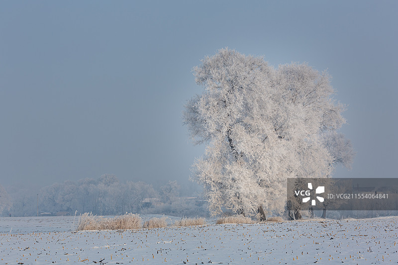 吉林市龙潭区雾凇岛自然景观雾凇盛景图片素材