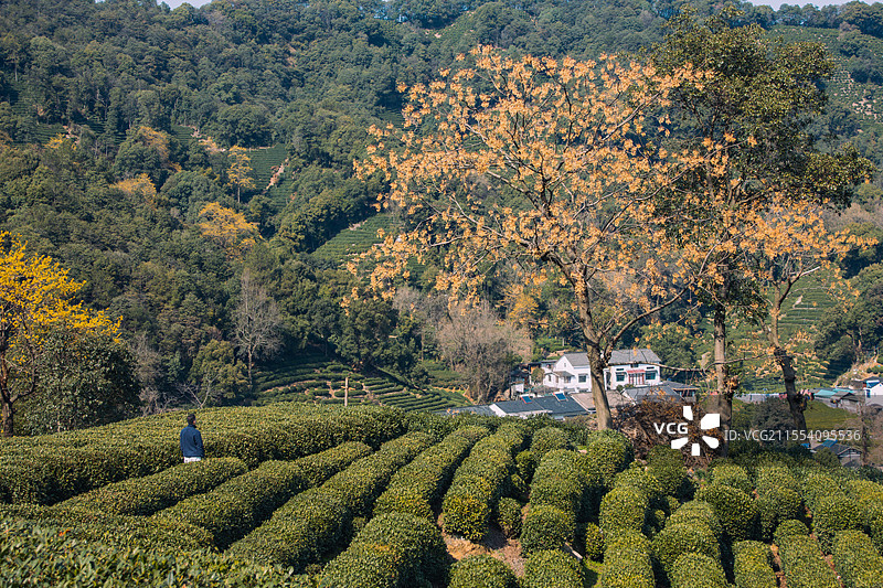 初春杭州图片素材