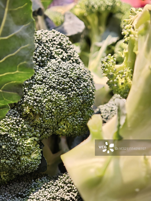 西蓝花特写图片素材