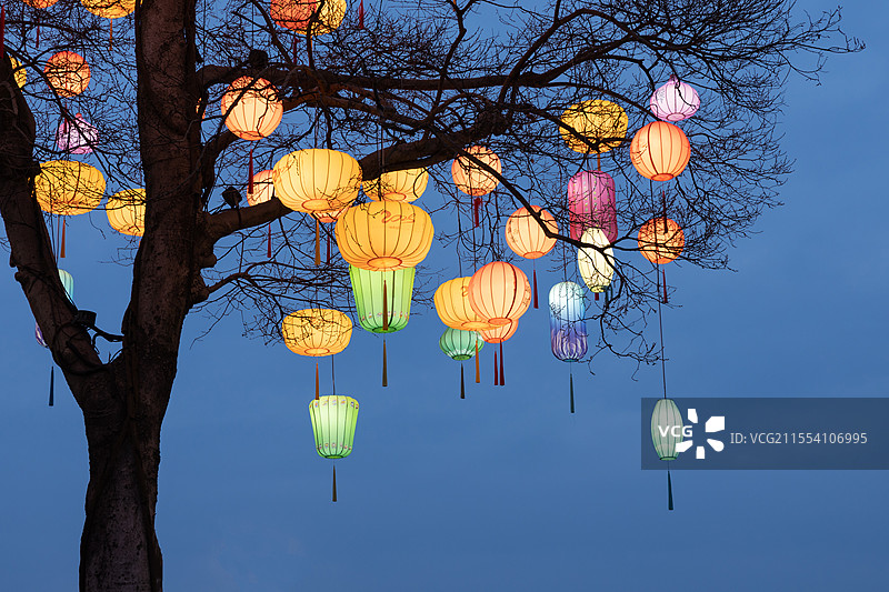 西溪湿地蓝色天空背景下树上悬挂的彩色灯笼图片素材