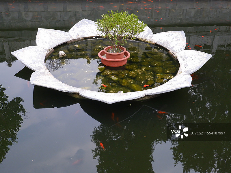 莲花池塘图片素材