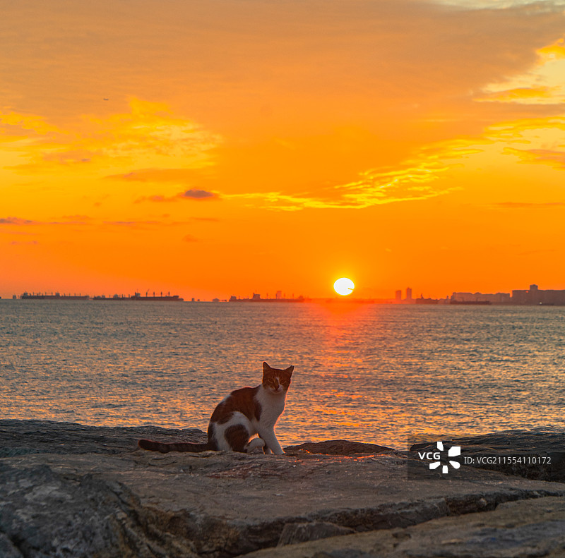 海边日落图片素材