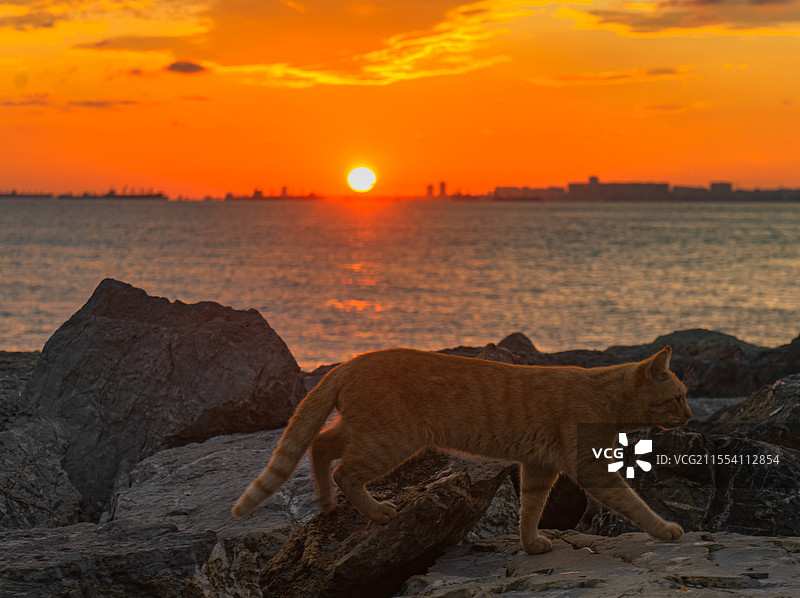 海边日落图片素材