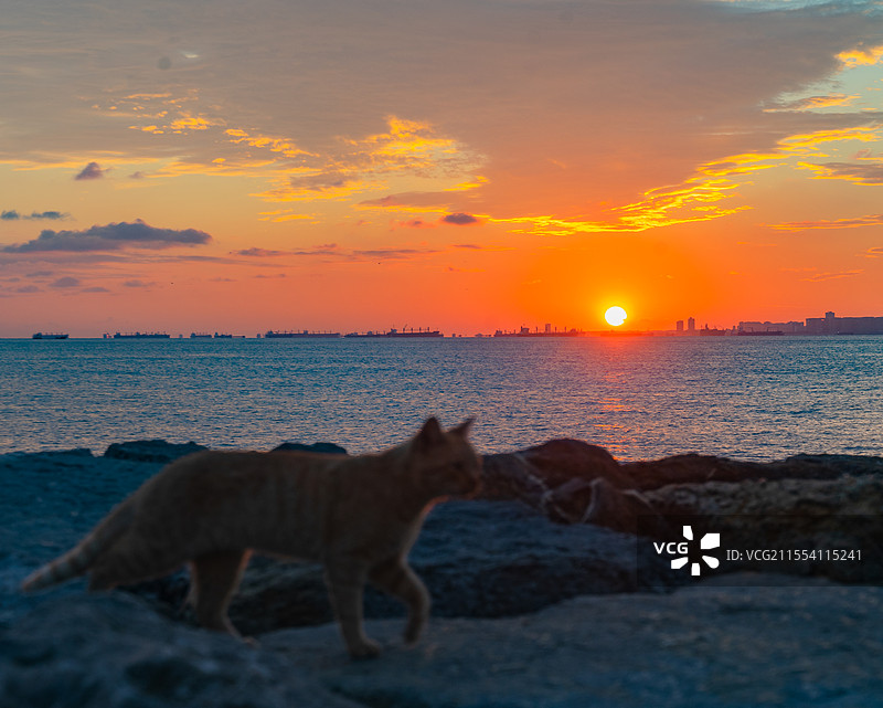 海边日落图片素材